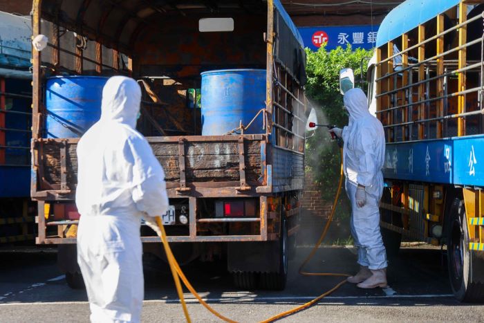 解封開市首日 侯:確保肉品穩定供應 33 《圖說》新北肉品市場加強相關車輛清消。〈農業局提供〉