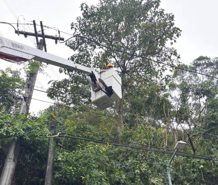 《圖說》因應鳳凰颱風來勢洶洶，台電基隆區營業處強化「預防性樹木修剪」，並同步完成地勢低窪變電所的防汛整備。〈基隆區處提供〉