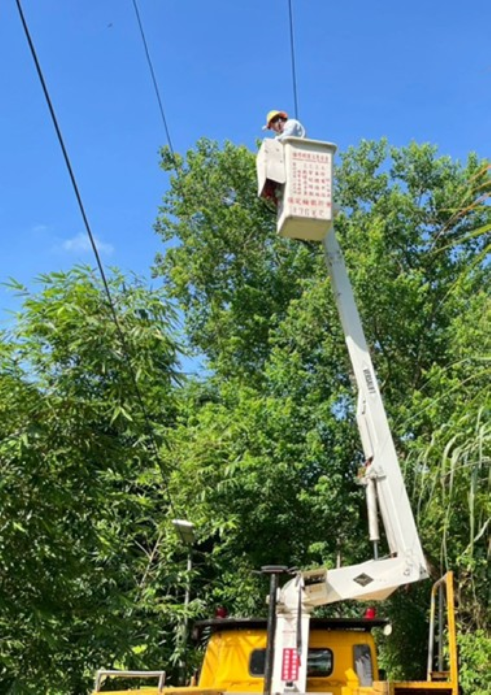〈鳳凰〉恐撲台 台電台北市人力、機具全面戒備 24 《圖說》預防強風吹落樹枝,強化樹修整備。〈台北市區處提供〉