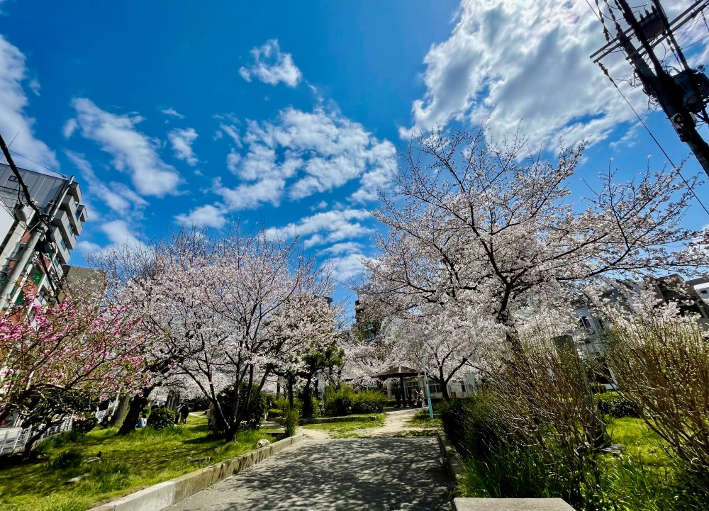 開啟日本留學申請代辦新篇章!優夏國際顧問(UJAPAN)以大阪在地團隊打造安心體驗 41 03%E5%84%AA%E5%A4%8F%E5%9C%8B%E9%9A%9B%E9%A1%A7%E5%95%8F%E4%BB%A5%E5%A4%A7%E9%98%AA%E5%9C%A8%E5%9C%B0%E5%9C%98%E9%9A%8A%E6%89%93%E9%80%A0%E5%AE%89%E5%BF%83%E9%AB%94%E9%A9%97