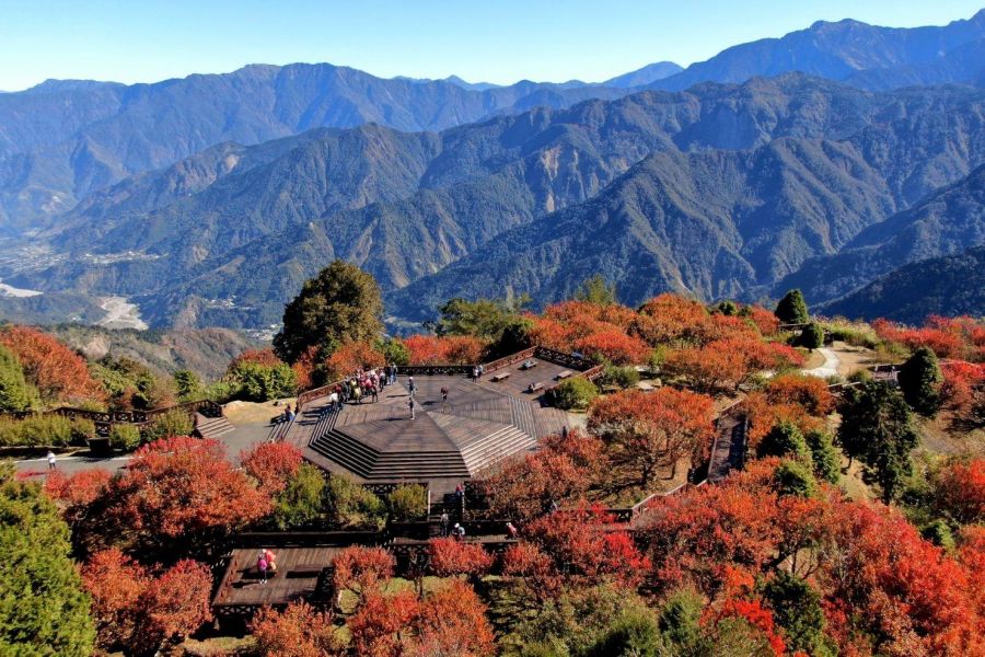 2025全球必訪阿里山  賓館邀請生態攝影達人帶領遊客玩攝楓景