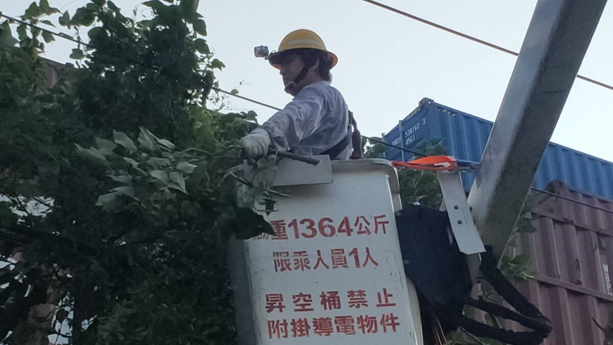 ▲台電人員為防颱準備,於今日加強樹木修剪工作。