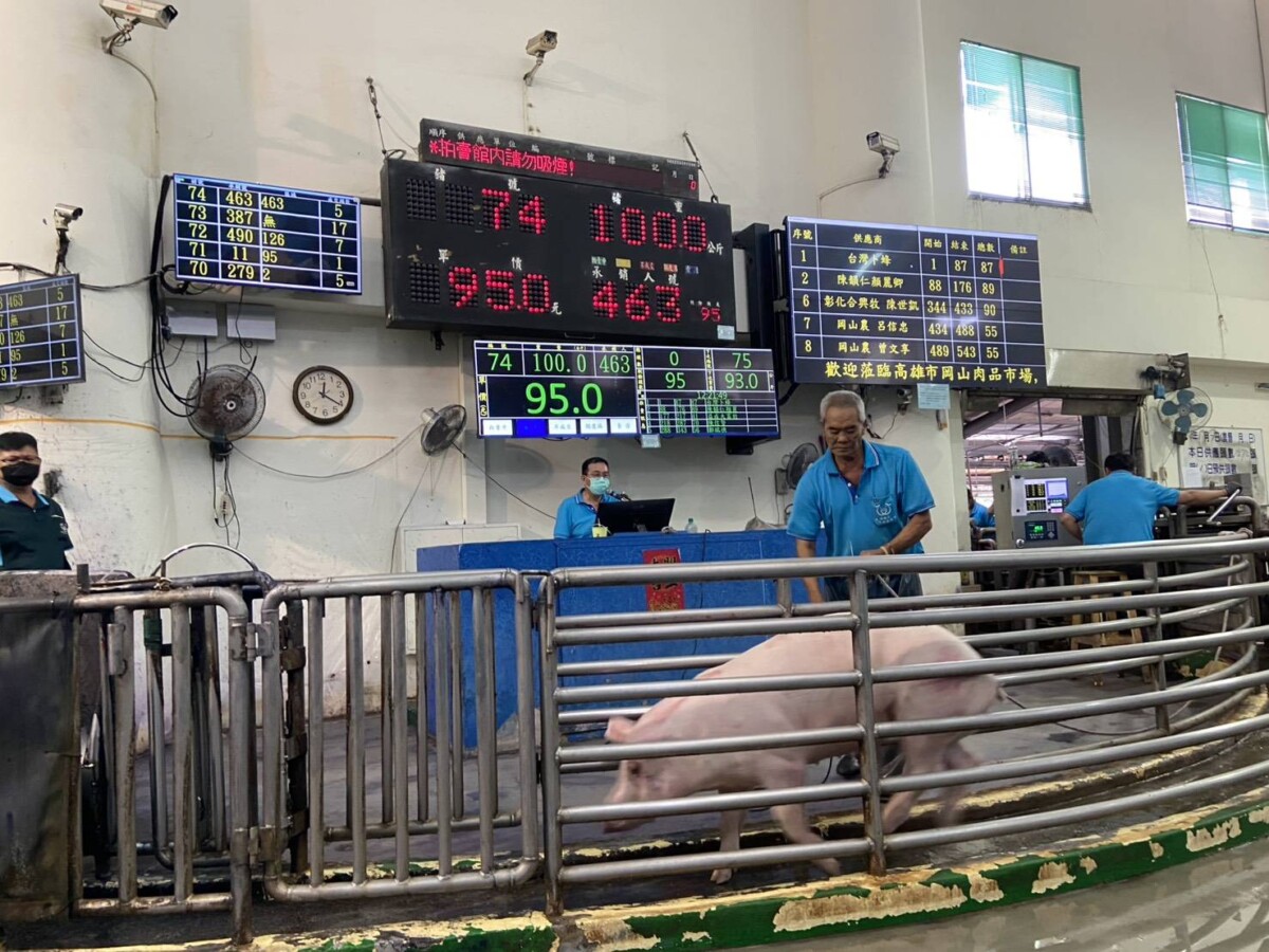 ▲高雄四大肉品市場恢復拍賣,交易量增加3成。