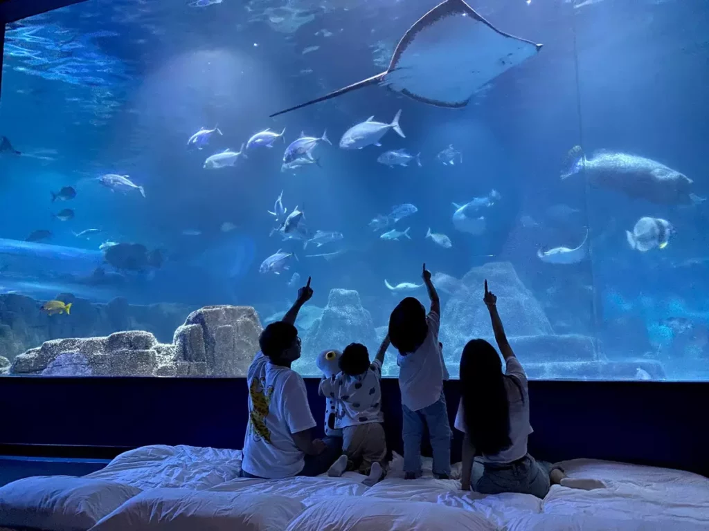 _遠雄海洋公園_全台唯一 親親海洋夜未眠,雙享受近距離海洋體驗及暢遊樂園