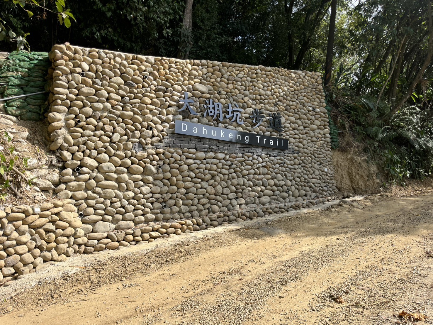 桃園斥資3千萬打造旅遊新亮點「大湖之森步道」11月底開放 messageImage 1762495751573