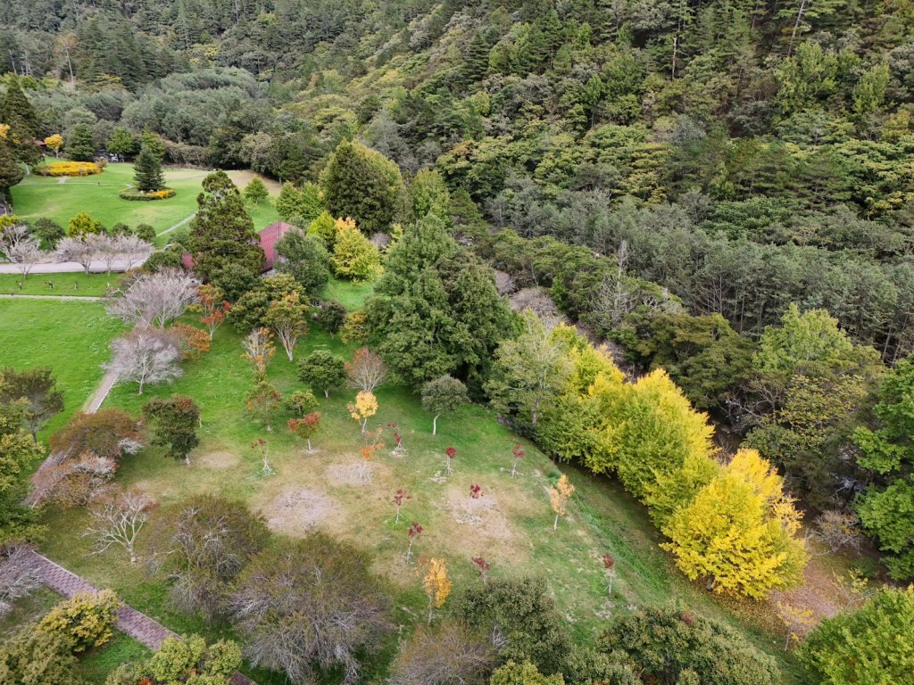 快訊/颱風「鳳凰」逼近-武陵農場11/11下午2時起休園