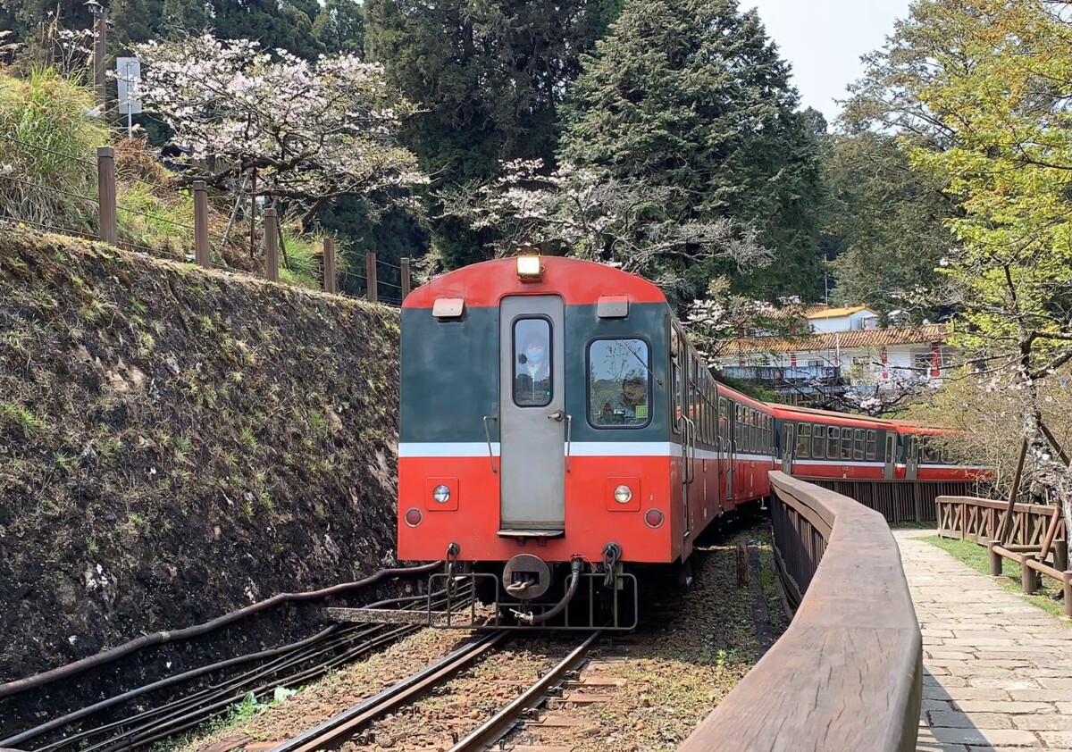 阿里山林鐵為維行車安全,將預警性停駛11月11日(二)上午10時5次車(嘉義-阿里山)及11月12-13日(三-四)則全線停駛。(圖/記者陳惲朋攝)
