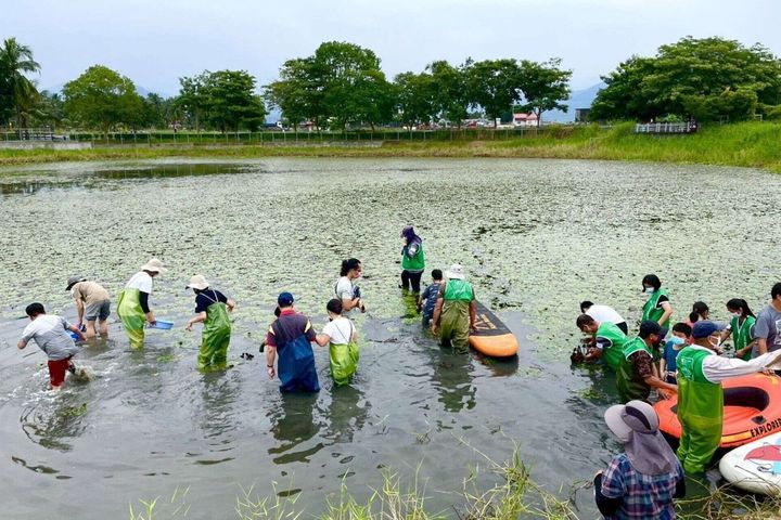 小朋友學習認識野蓮等水生植物。　圖：高雄市政府觀光局／提供