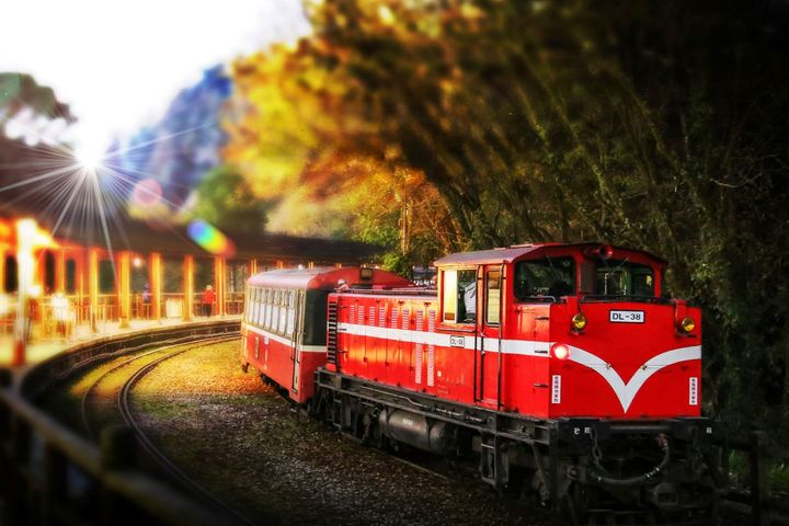 12月入住阿里山賓館 攝影達人帶你美拍夢幻楓紅雲海