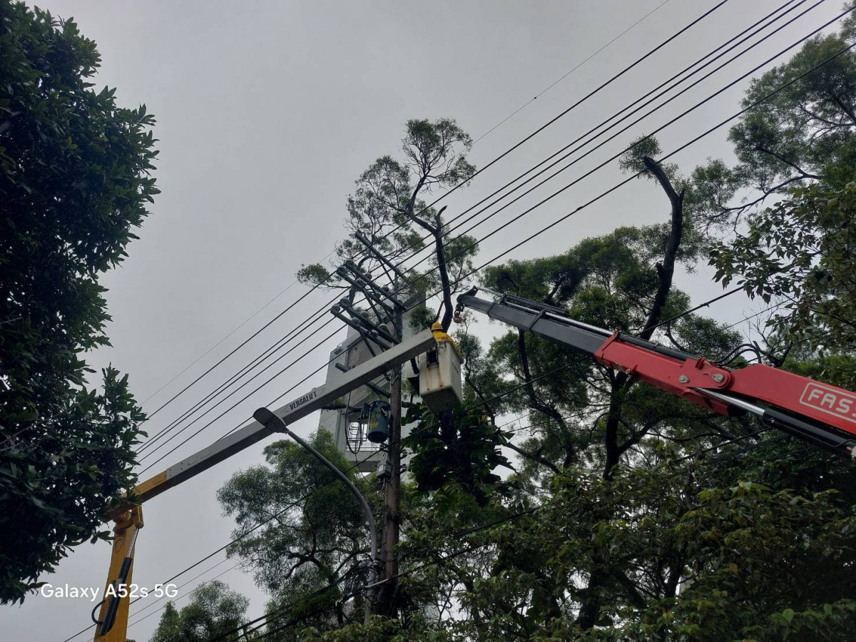 台電桃園區處戒備防颱，不畏強風冒雨加強樹竹修剪，減少樹木碰觸電線引發之事故