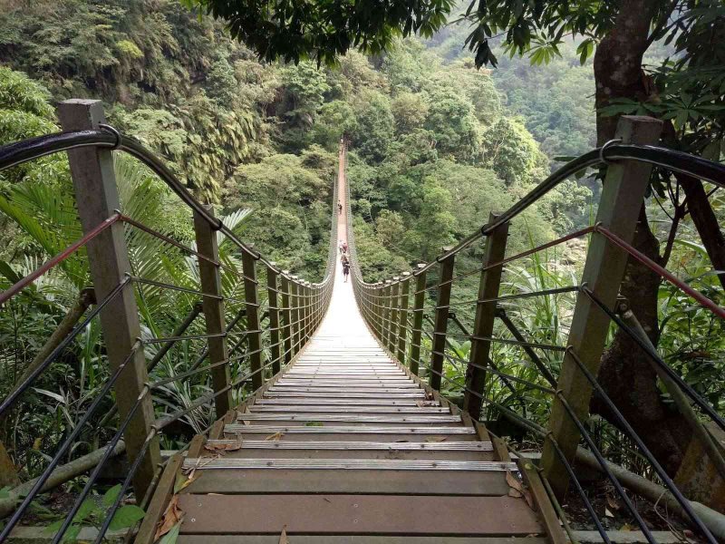 受災復建休園中的南投竹山天梯明年3月重新開放