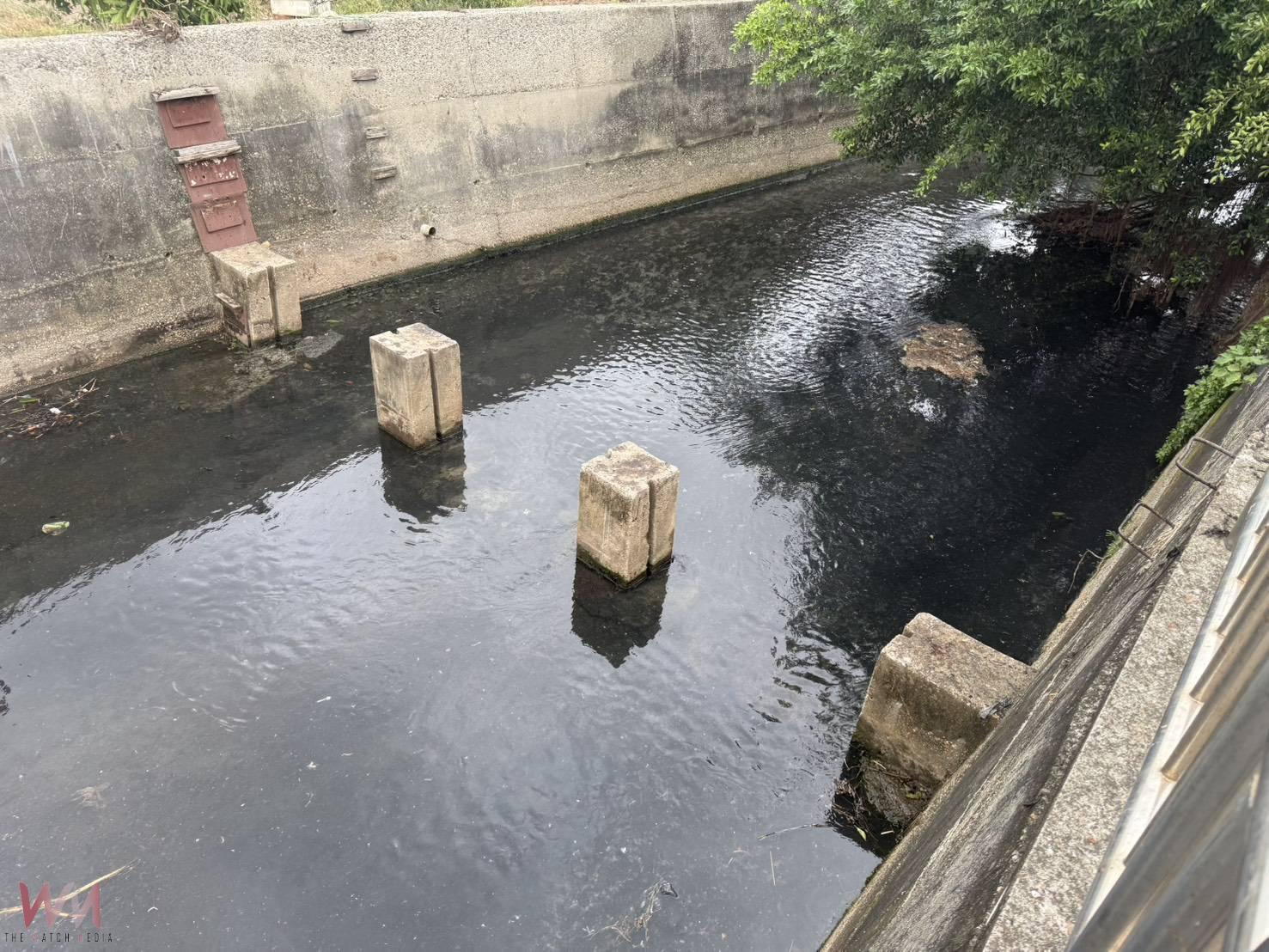 落實防救災措施 中市府跨局分工加強整備 防範鳳凰颱風來襲 - https://www.watchmedia01.com