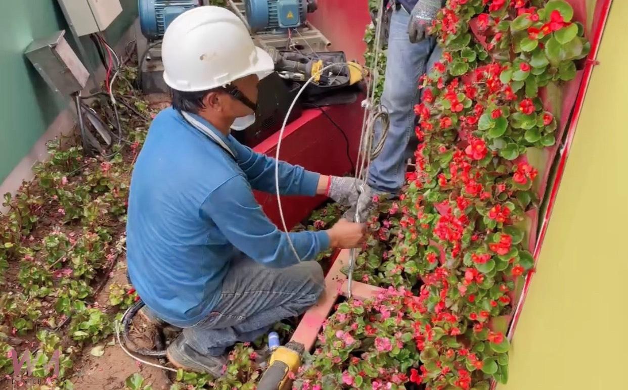 鳳凰颱風來襲　台中國際花毯節啟動防颱作業 陸上颱風警報發布後閉園 - https://www.watchmedia01.com