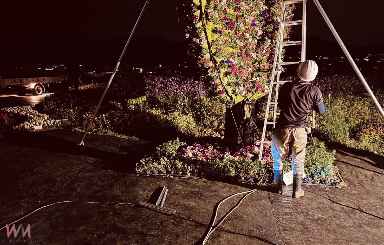 鳳凰颱風來襲　台中國際花毯節啟動防颱作業 陸上颱風警報發布後閉園 - https://www.watchmedia01.com