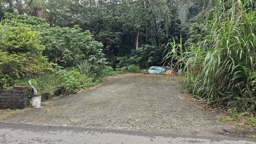 又為感情問題殺人！桃園男子17前殺害姐弟戀女友　兩天前又勒斃前女友