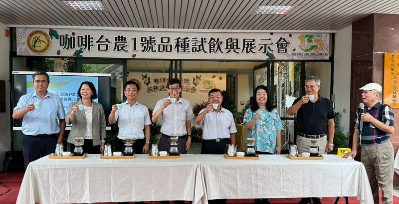 臺灣首個本土咖啡品種「台農1號」誕生　突破中低海拔種植限制
