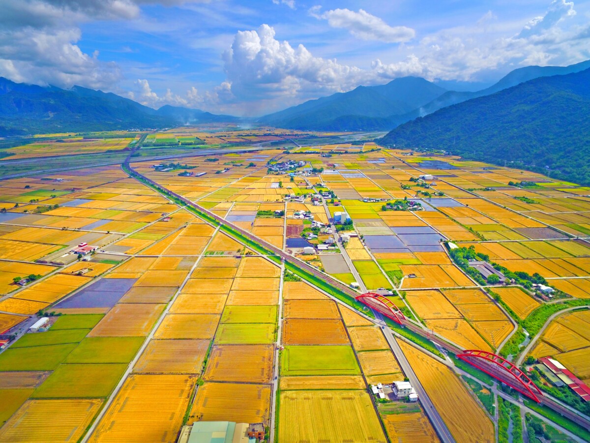 Dcim100mediadji 0138.jpg