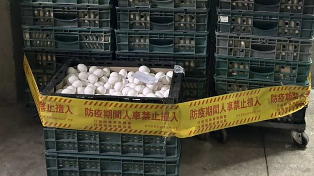 ▲彰化文雅畜牧場再檢出芬普尼雞蛋,縣府啟動全面禁止移動管制與監測,封存全部禽蛋。 (圖/彰化縣政府提供)