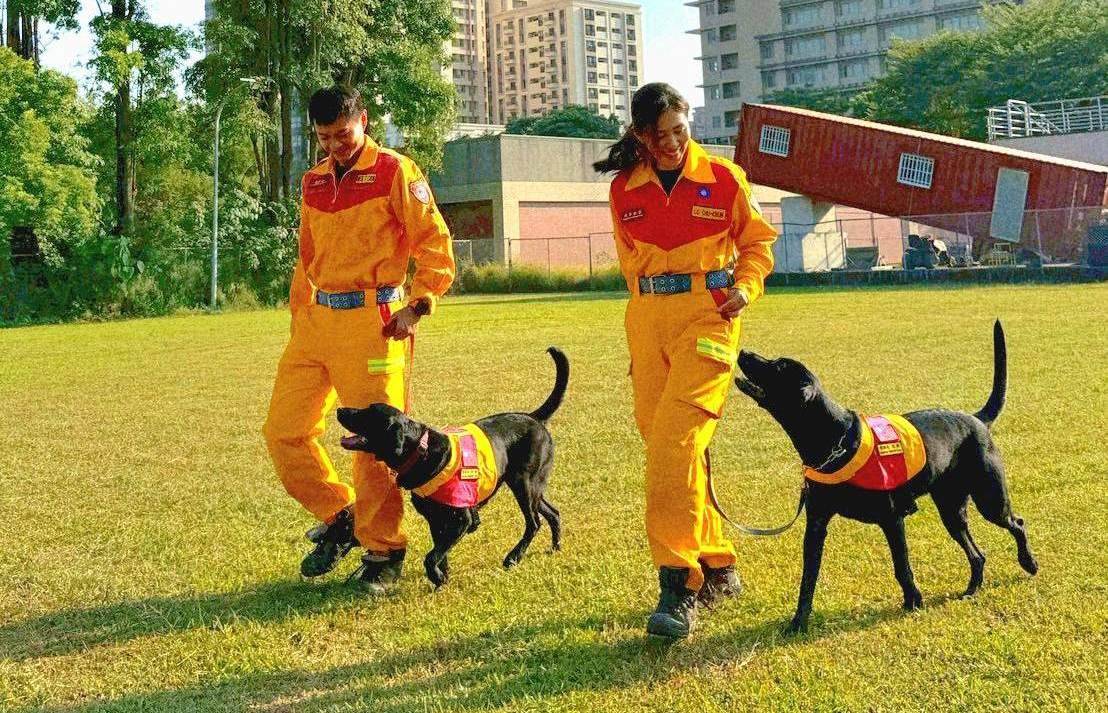 嗅出生命! 基隆搜救犬拿下國際A級認證