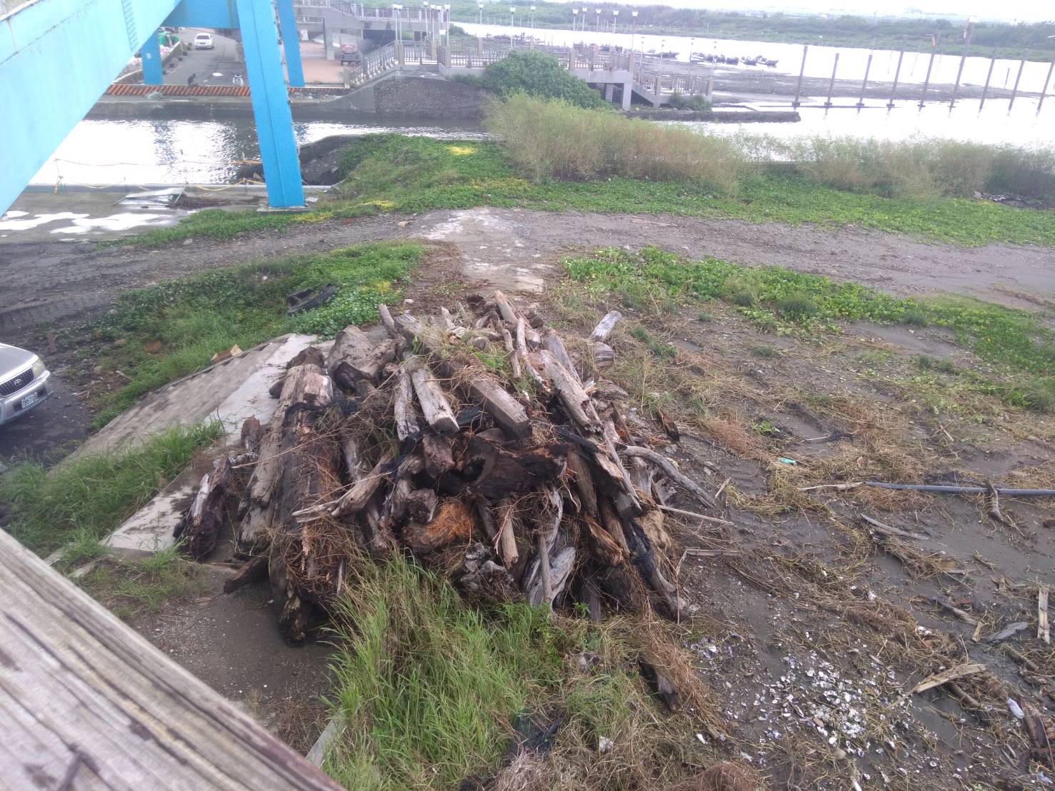 濁水溪流域撿木令暫停！林業署籲颱風期間遠離山區河川