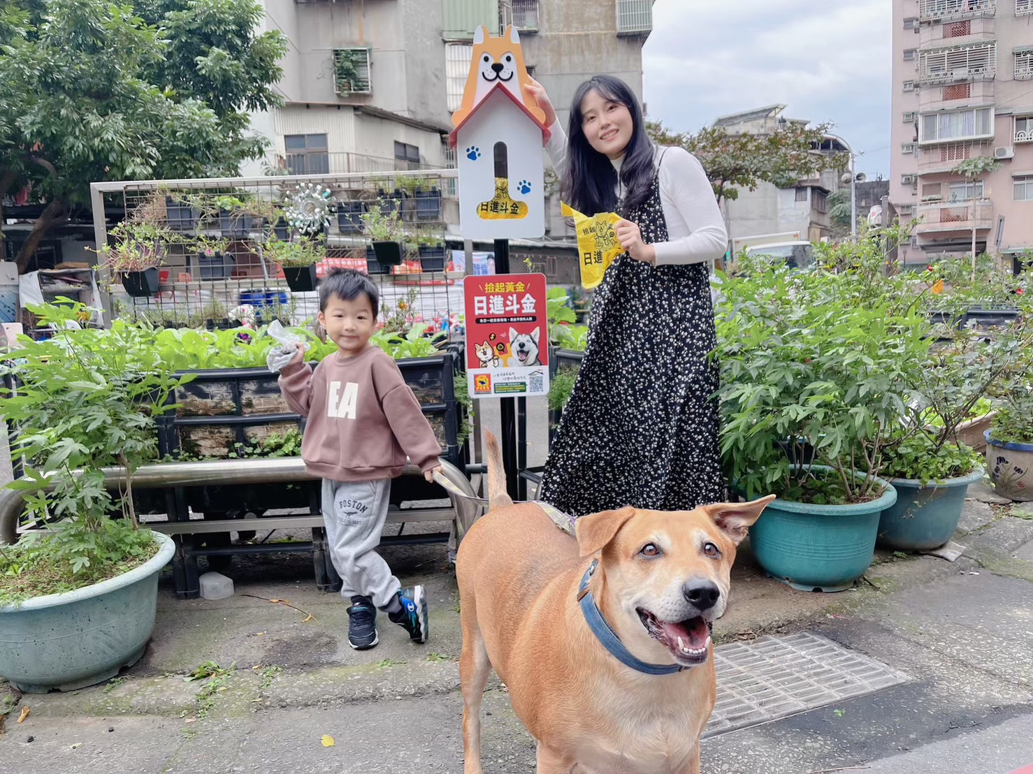 【有影】毛孩外出不麻煩！新北環保局設276座狗便（袋）箱　打造友善潔淨社區 247