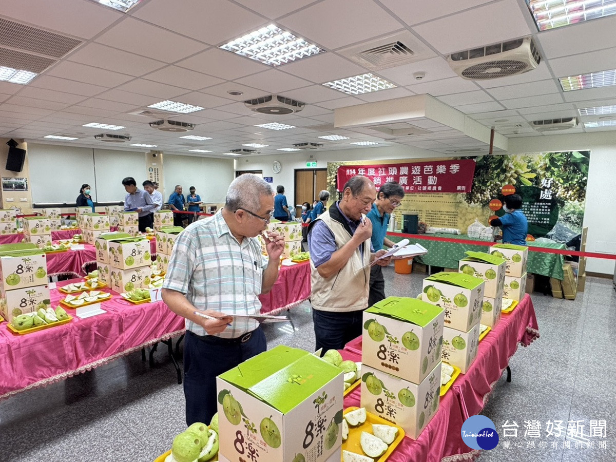中部優質番石榴評鑑競賽 農友切磋交流提升番石榴品質及知名度