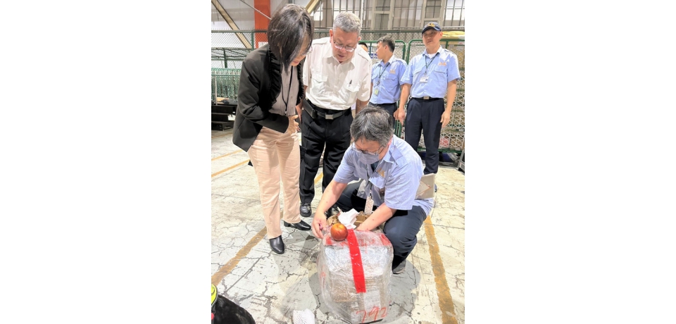 高雄關聯合動植物防疫檢疫署加強查緝海運快遞貨物 全力防堵非洲豬瘟入侵