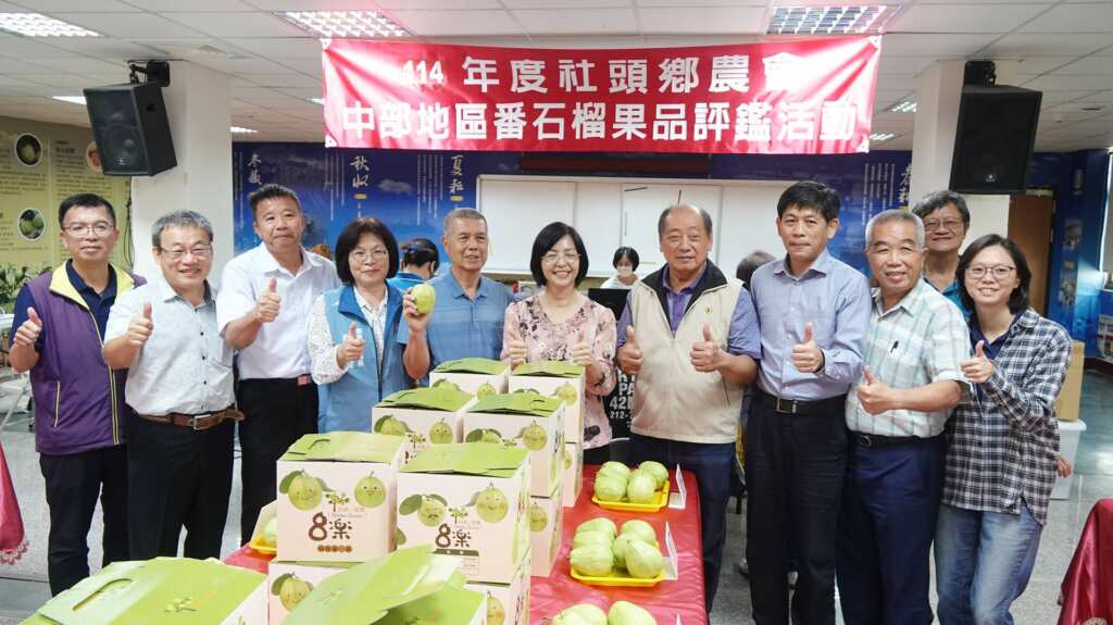 ▲114年度中部地區優質番石榴果品評鑑競賽於今日在社頭鄉農會三樓禮堂舉行，本次評鑑並嚴格要求參賽果農必需具三章一Q資格，讓消費者吃得更安心。（記者林明佑攝）