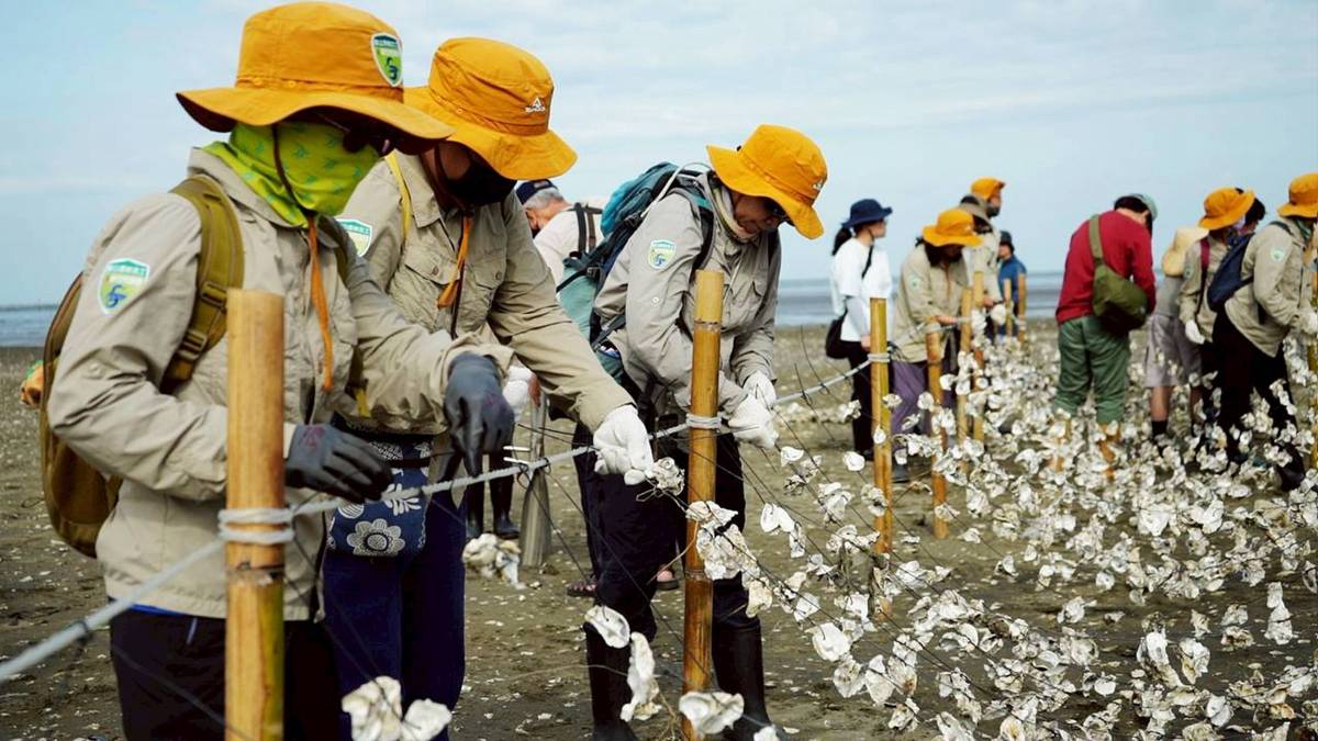 香山濕地復育添動力　企業與學界攜手築起生物新棲地