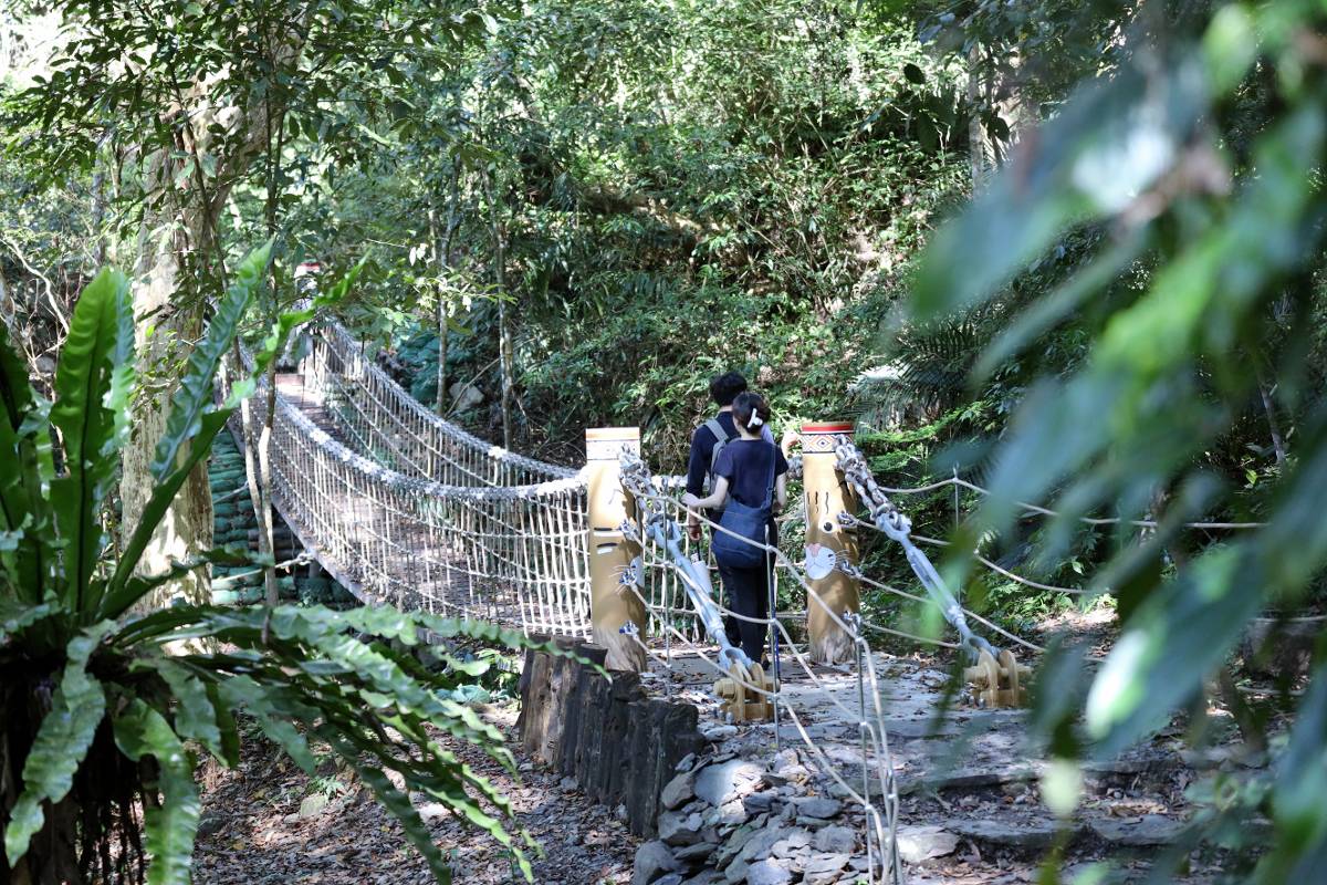 台中雪山坑步道二期完工　2.4公里環線全新開放