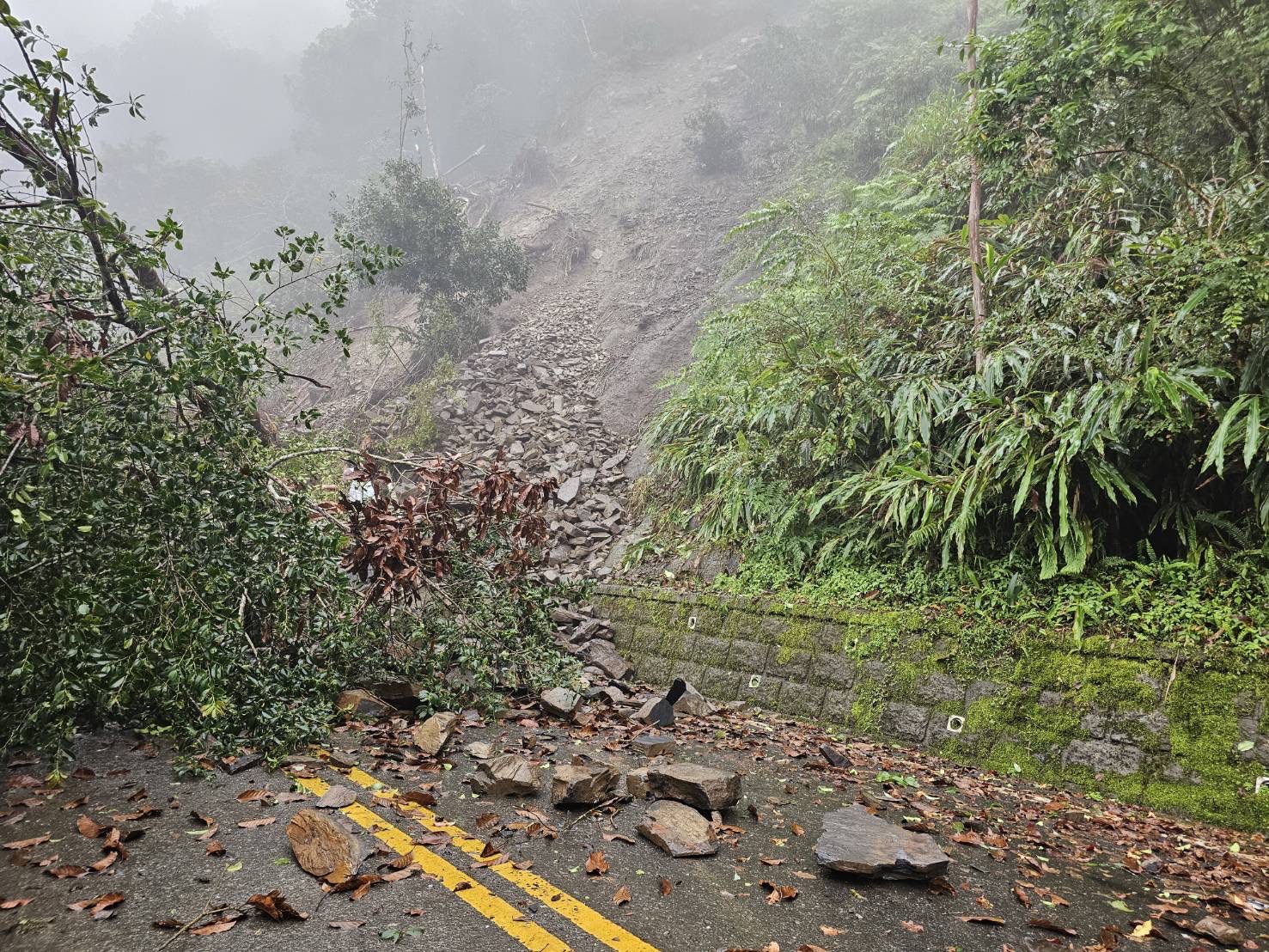 「快訊」太平山區內道路突坍塌 今（14）日延後至12點開園