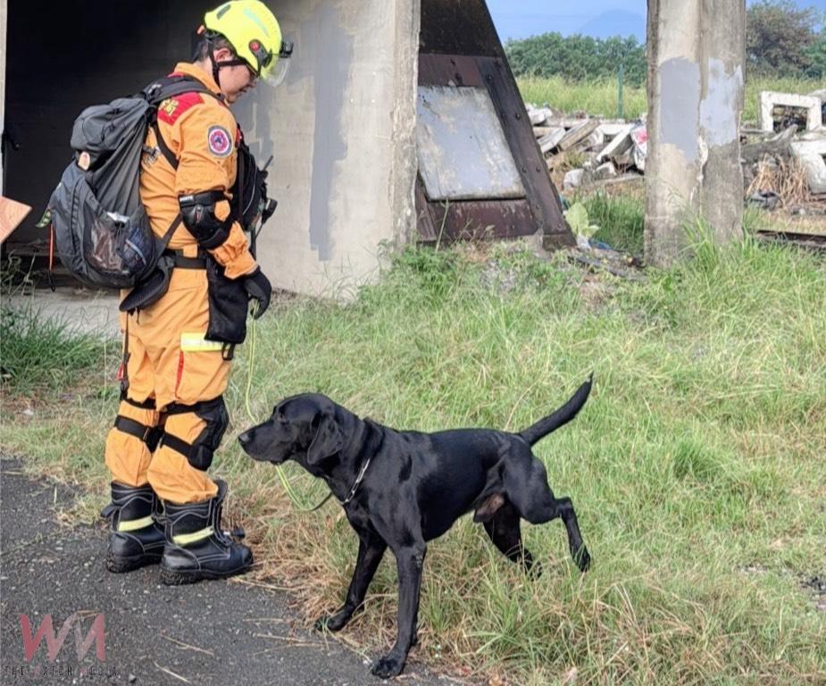 強化救援技術 台中消防搜救犬隊前往德國訓練交流 深化國際合作 - https://www.watchmedia01.com