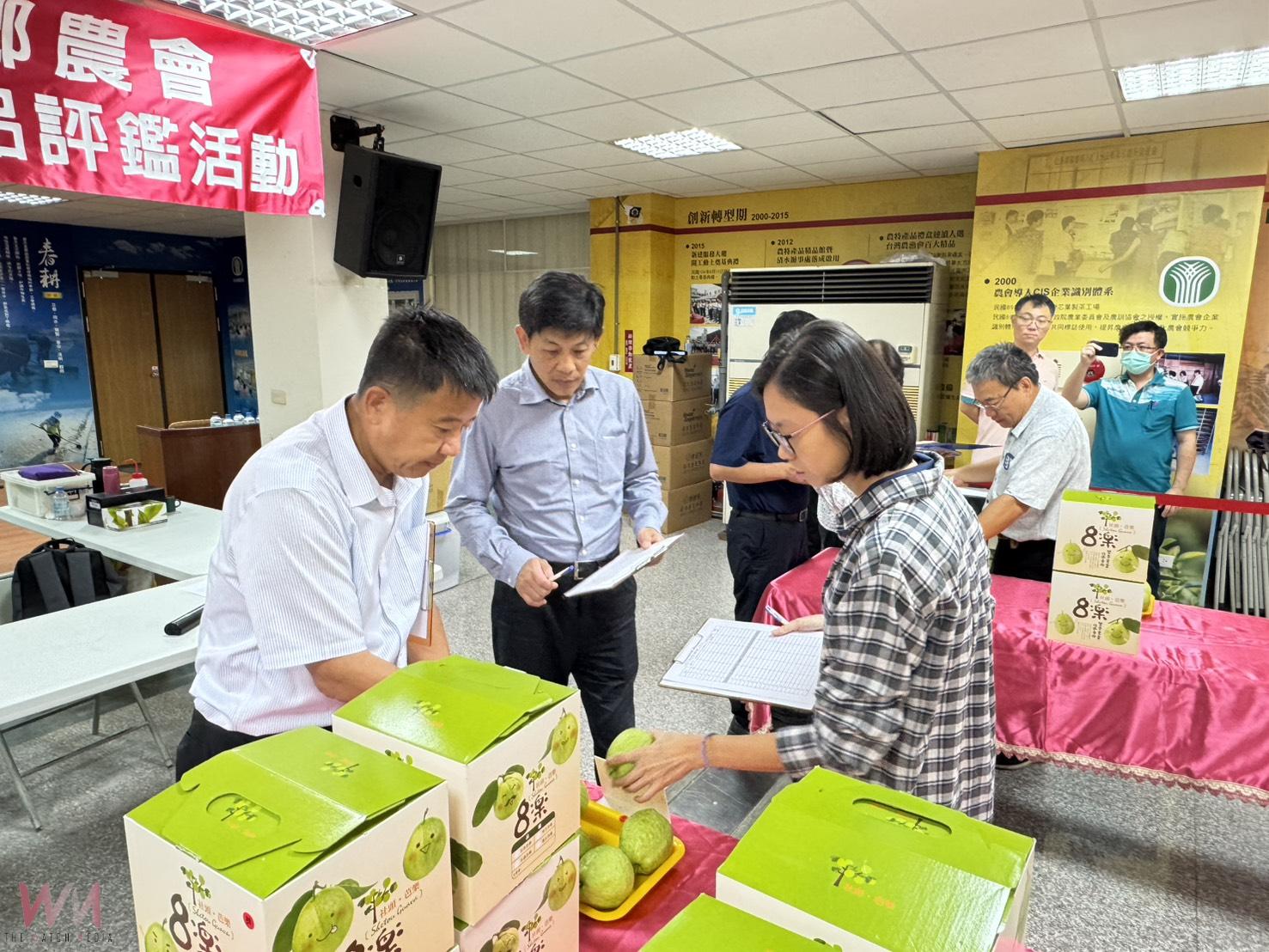 (有影片)/114年度中部番石榴評鑑 來自15個鄉鎮99組農友參賽 - https://www.watchmedia01.com