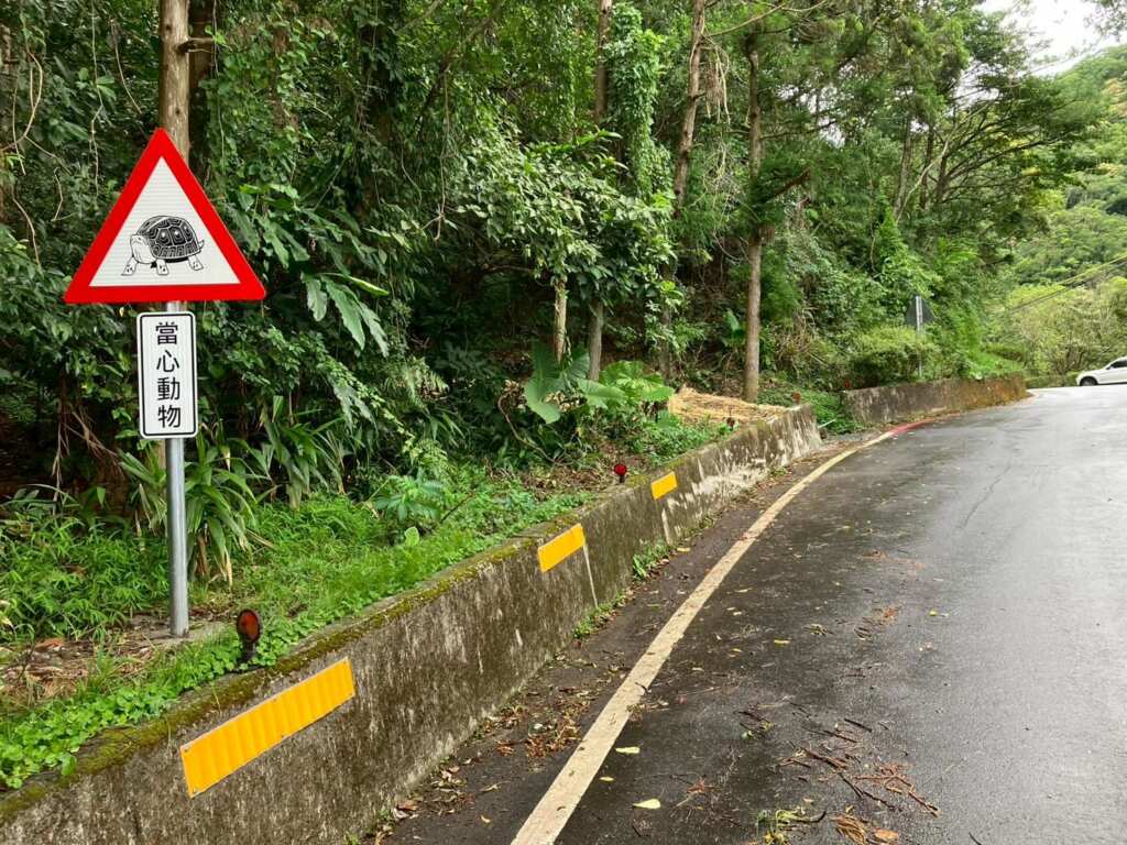 ▲設置由政治大學學生設計的食蛇龜警示標誌，提醒用路人減速慢行。