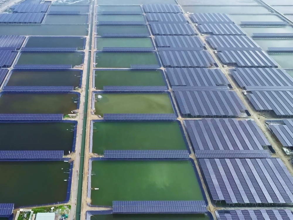 台灣綠電市場10度有3度來自它!綠能集體下殺,它卻獨霸 228 台灣綠電市場10度有3度來自它!綠能集體下殺,它卻獨霸 227
