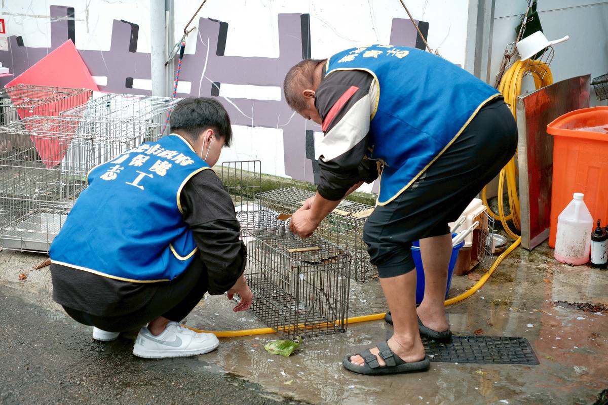 新北社勞計畫創正向循環 板橋動物之家獲績優肯定