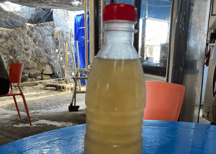 東北角必吃美食-石花凍