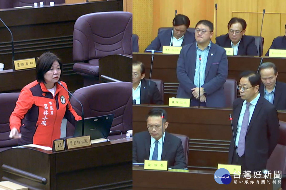 針對非洲豬瘟疫情,桃園市議員呂林小鳳質詢桃園市長張善政。<br /><br />