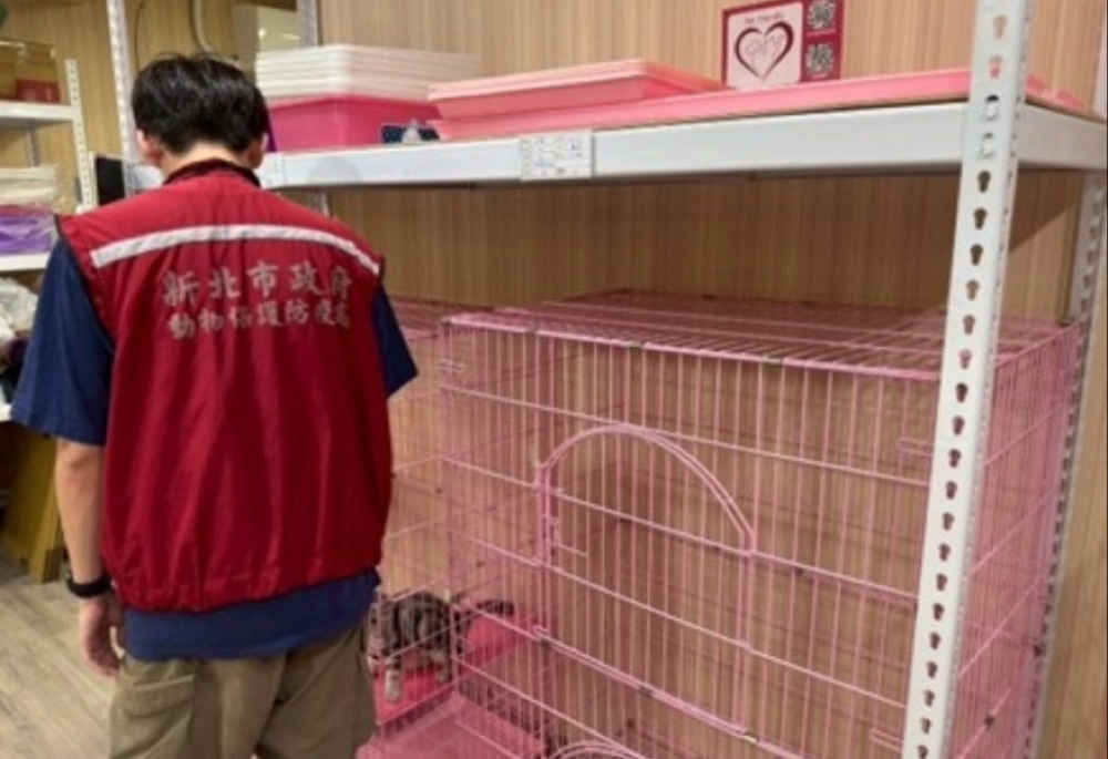 新北動保處查核425家寵物業者 重罰違法提醒市民警覺 211 248251118a01