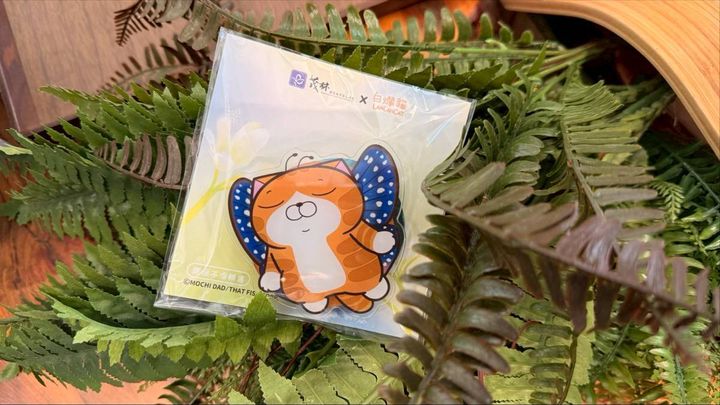 茂林雙年賞蝶季盛大開幕！白爛貓相伴 同賞世界唯二奇景「紫蝶幽谷」
