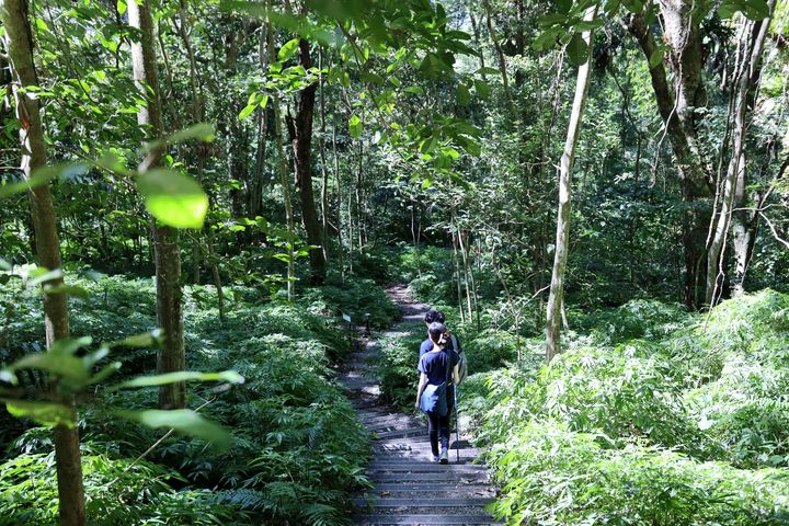 雪山坑登山步道已完工啟用。 圖:臺中市政府觀光旅遊局/提供