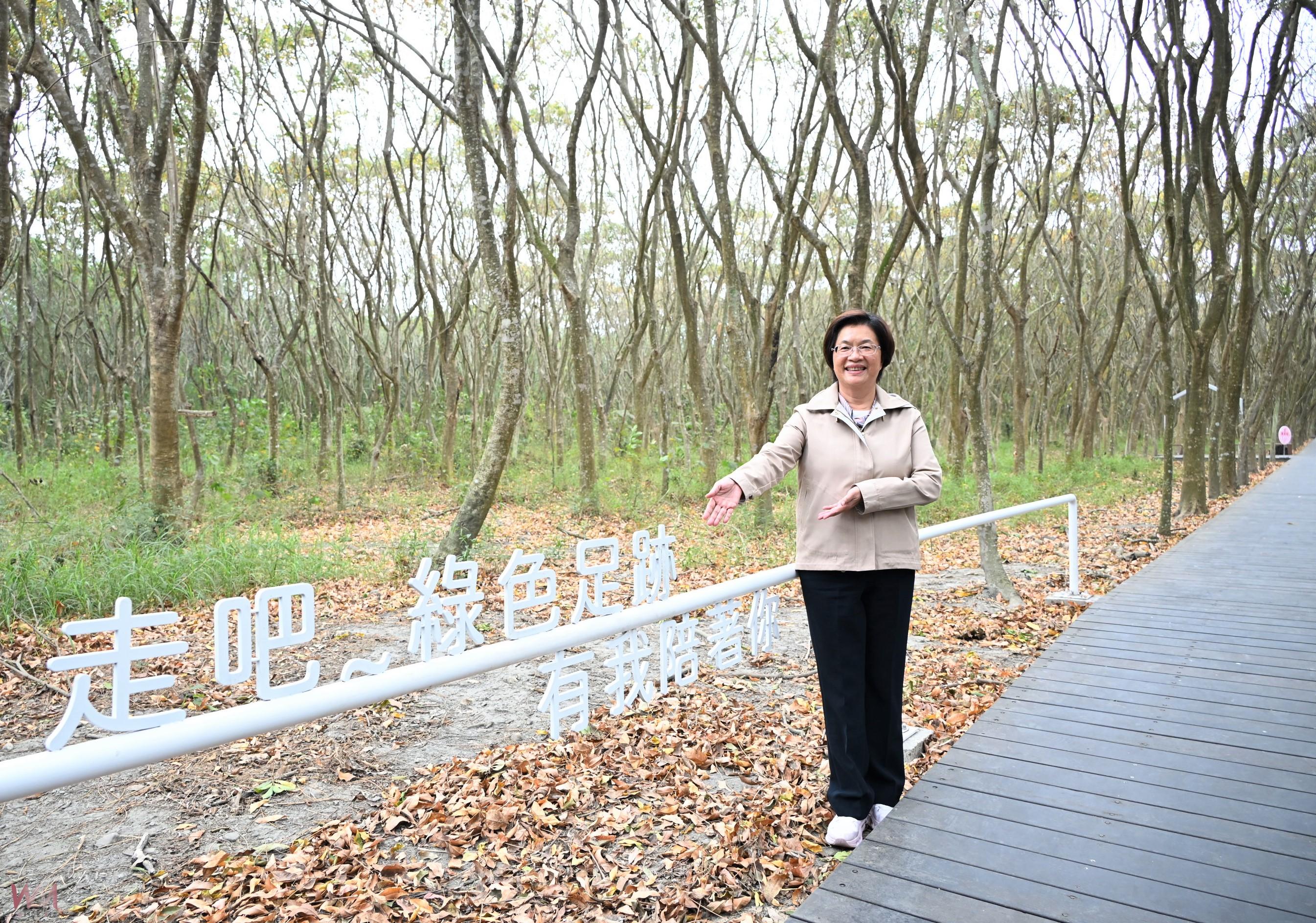 （有影片）／溪州森林步道變身「夢幻打卡點」　民眾：好像到溪頭度假