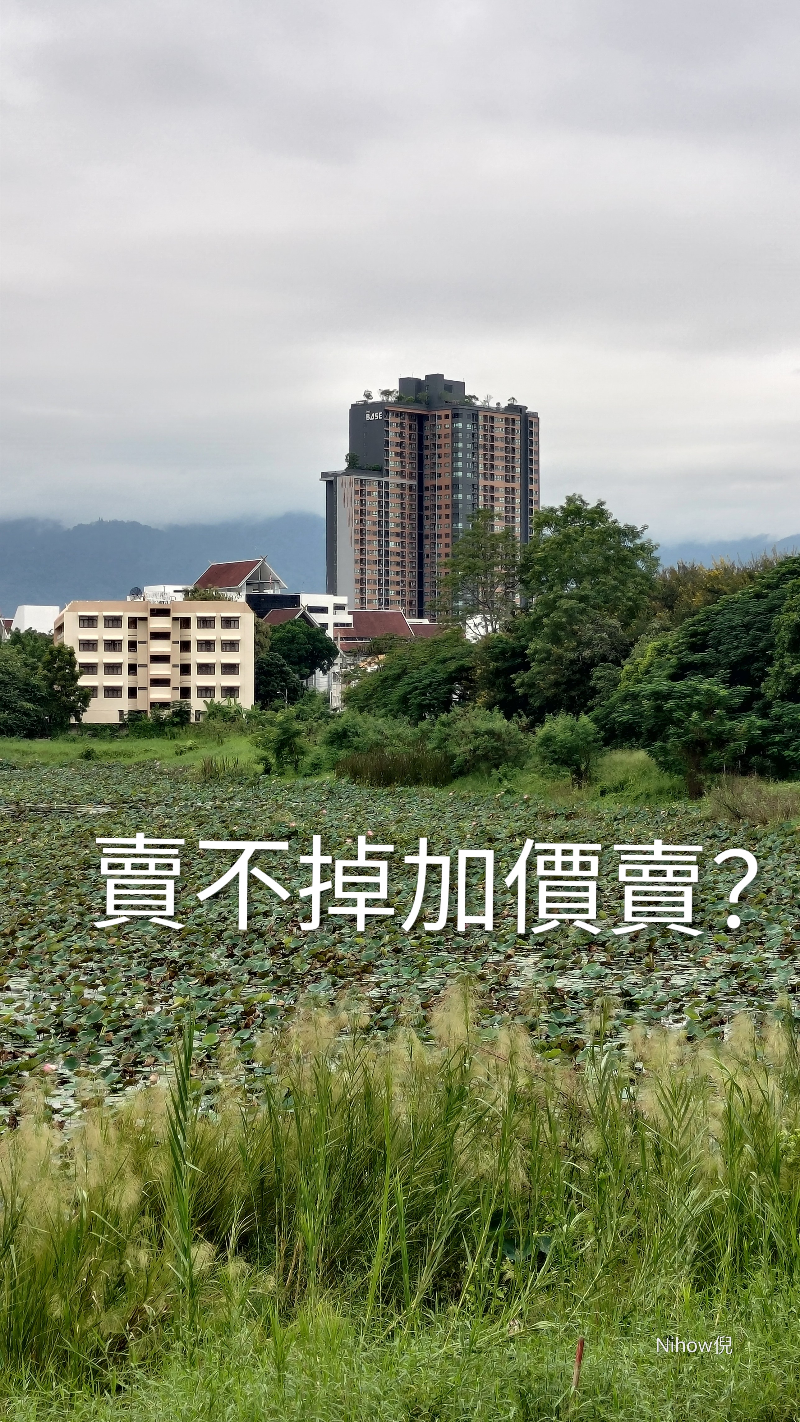 p 20251105 0830412
