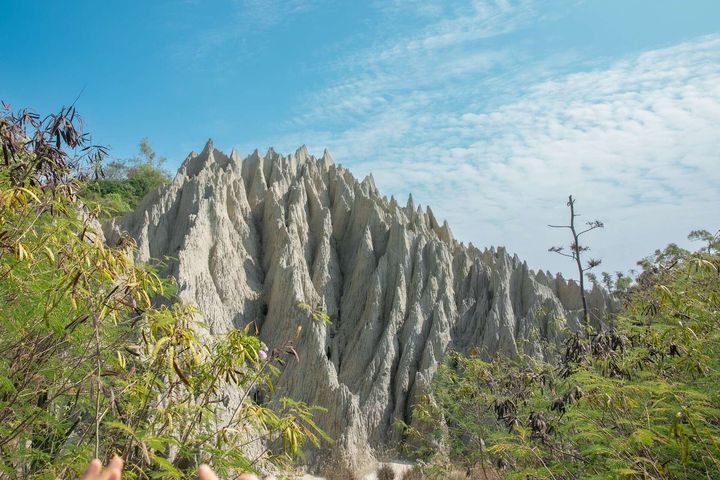 「高雄海線探險趣」11/23彌陀公園登場 闖關遊戲潮旅行
