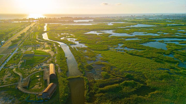 「高雄海線探險趣」11/23彌陀公園登場 闖關遊戲潮旅行