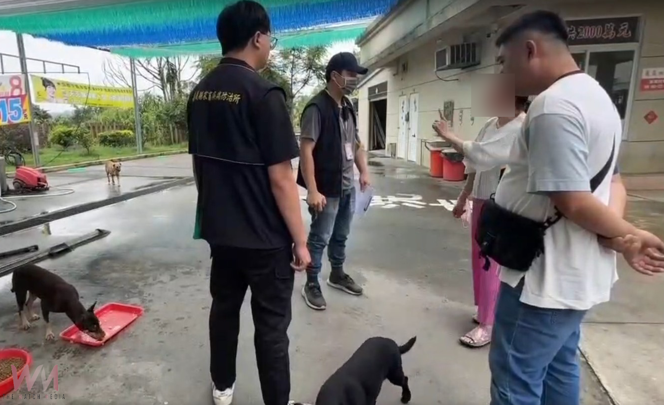 婦人餵養犬群致社區不安   開罰8萬6並提告妨礙公務