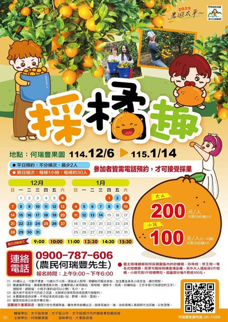 太平柑橘有夠讚! 太平採柑橘。林重鎣翻
