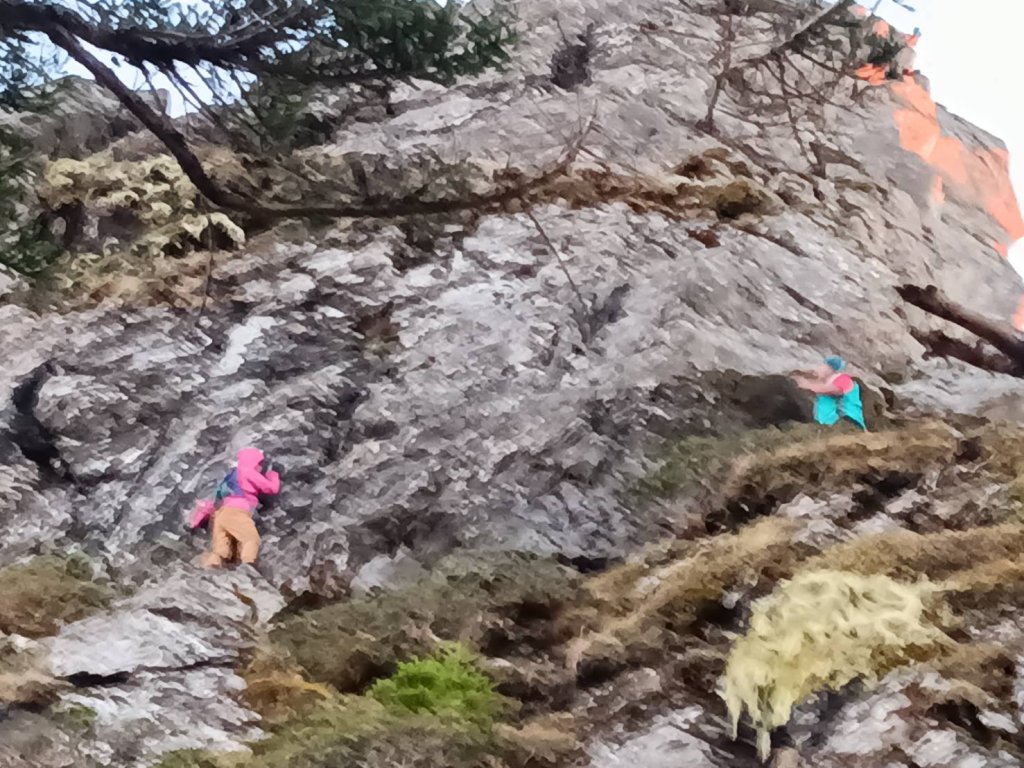 站在懸崖邊動不得!女山友關山迷途卡峭壁 原地苦等8小時救回一命