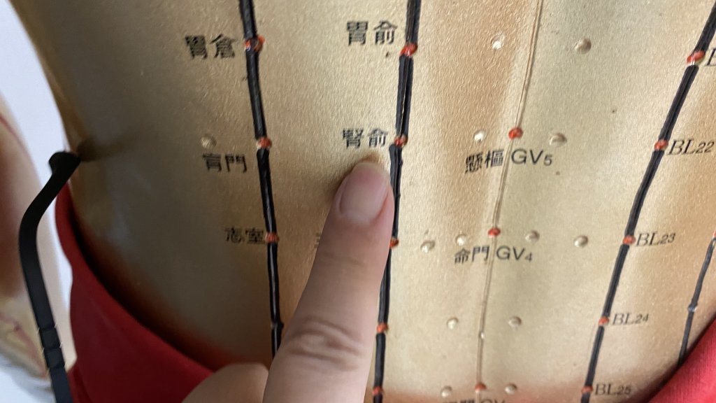 中西醫整合醫療逆轉患者腎功能-慢性腎臟病治療新契機