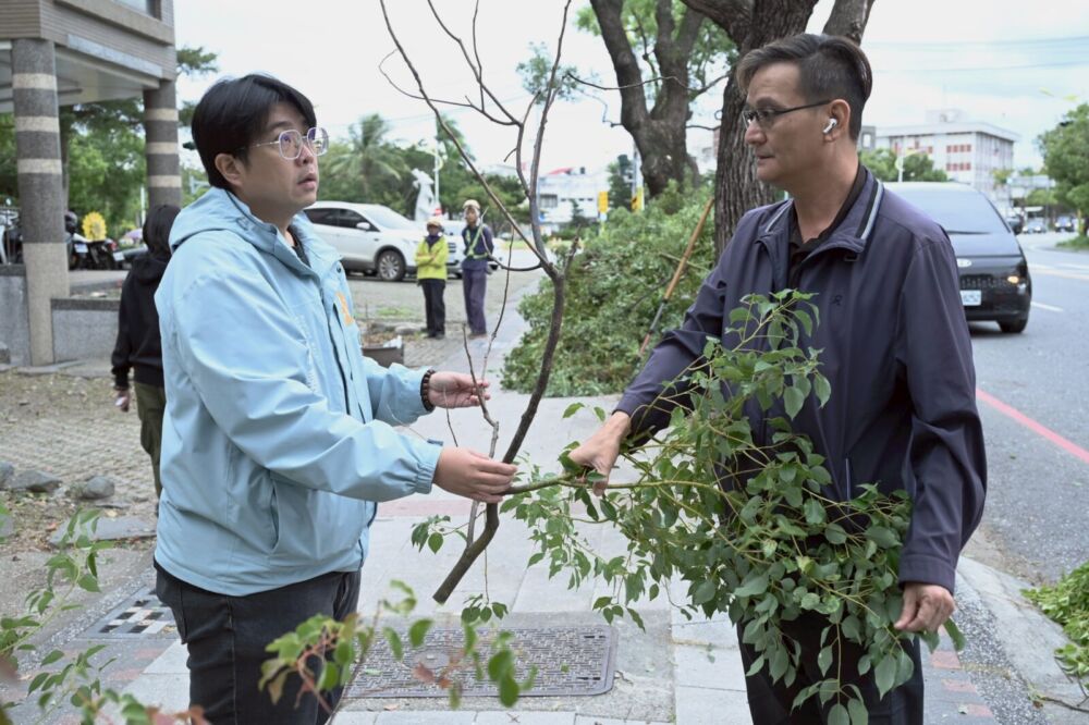 民眾反映府前路樟樹遭害蟲啃食枯萎 魏嘉彥派農觀課啟動防治 224 民眾反映府前路樟樹遭害蟲啃食枯萎 魏嘉彥派農觀課啟動防治 223